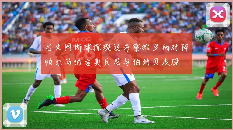 尤文图斯球探现场考察维罗纳对阵帕尔马的吉奥瓦尼与伯纳贝表现