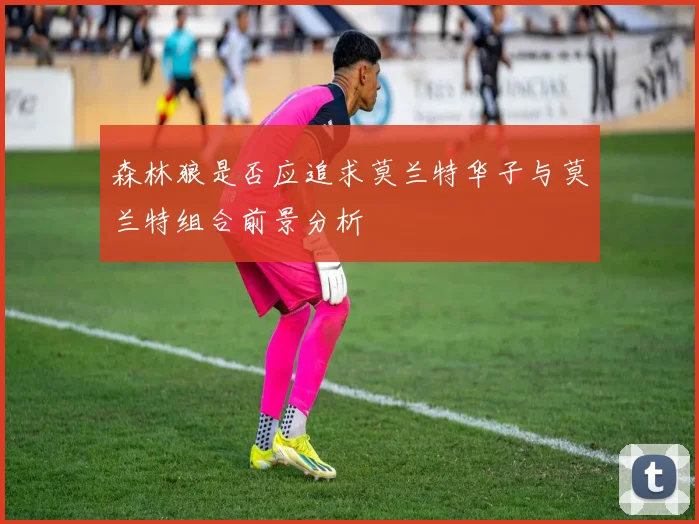森林狼是否应追求莫兰特华子与莫兰特组合前景分析