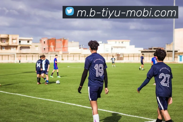 B体育APP 封面图